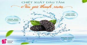 Chiết xuất dâu tằm "thần dược" níu giữ tuổi xuân